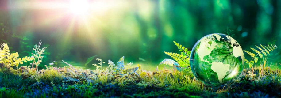 Environnement & cadre de vie