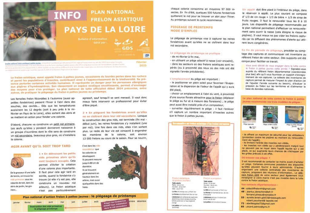 FRELON ASIATIQUE : démarrage du piégeage de printemps FRELON ASIATIQUE : démarrage du piégeage de printemps