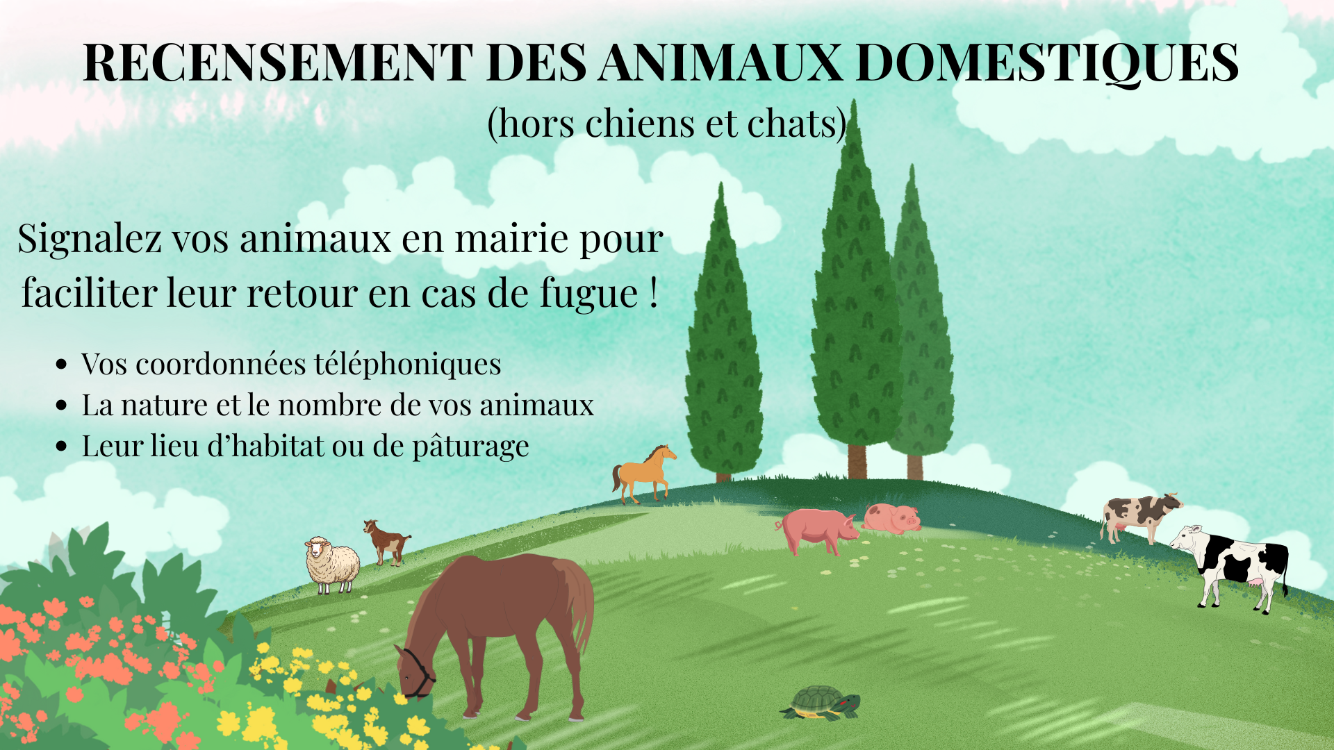 Affiche
