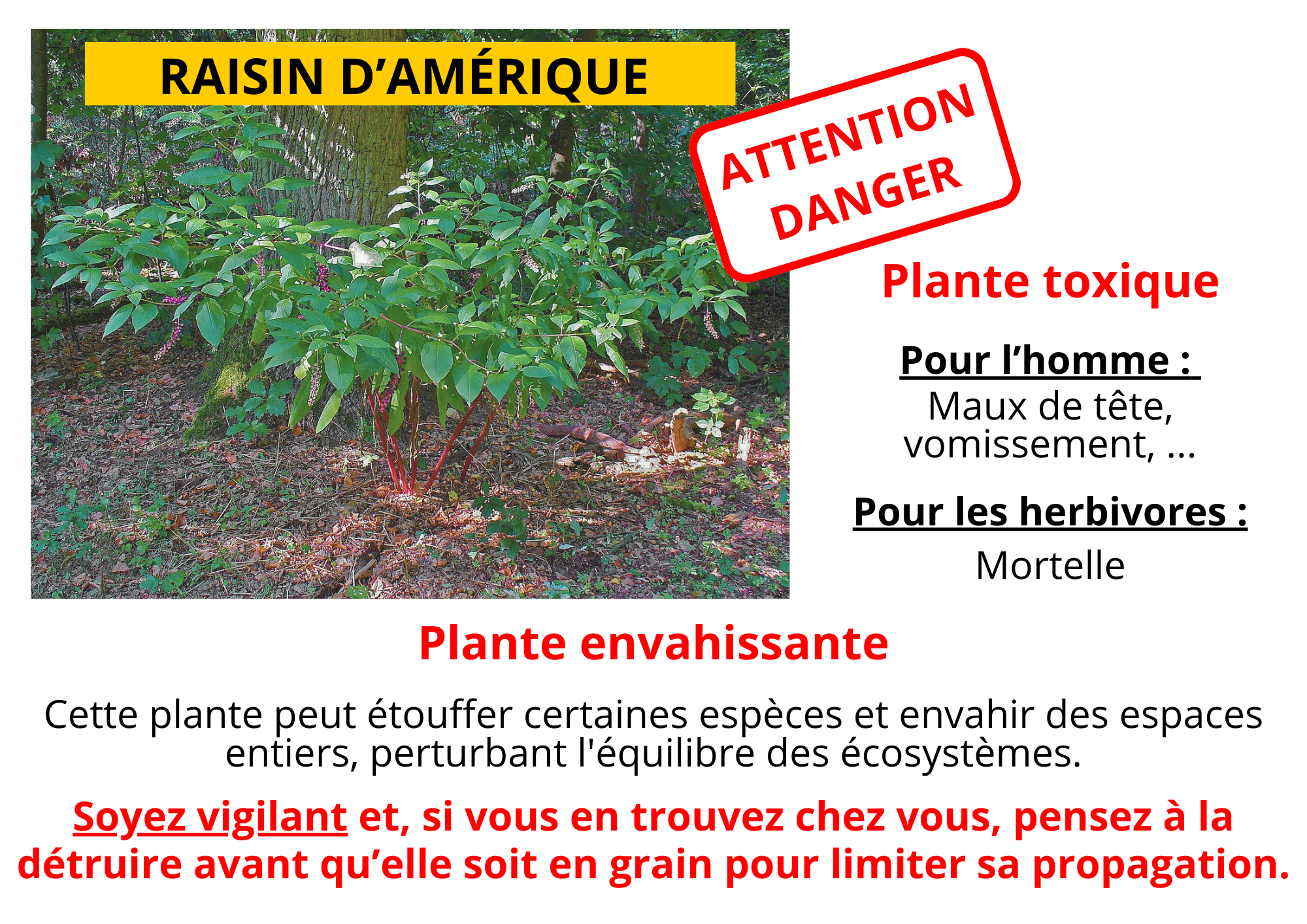 Affiche