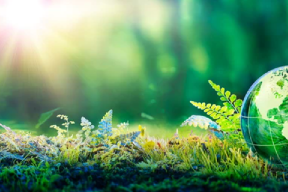Environnement & cadre de vie