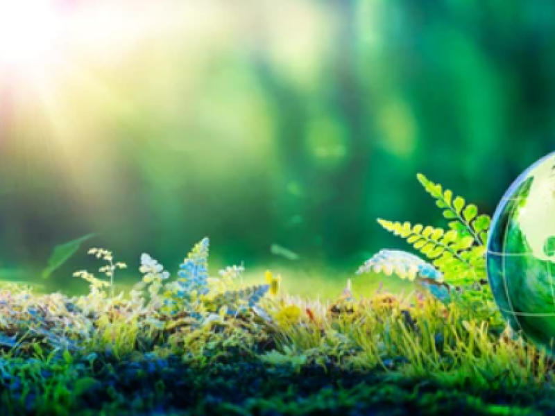 Environnement & cadre de vie