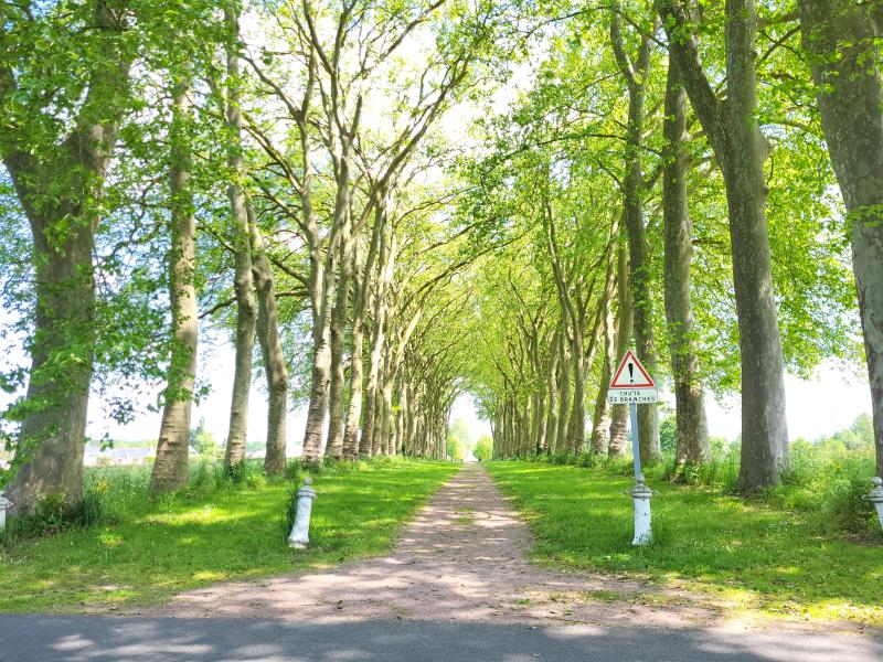 Allée de la Coutancière