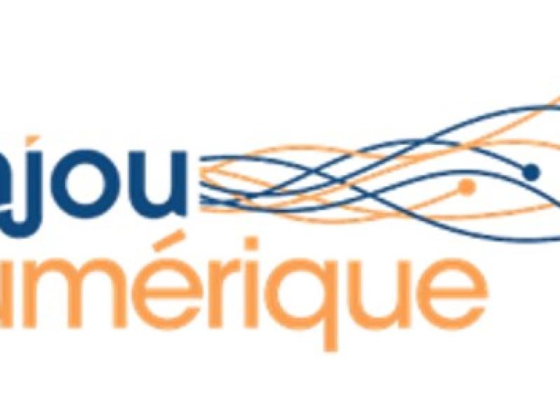 Fibre optique