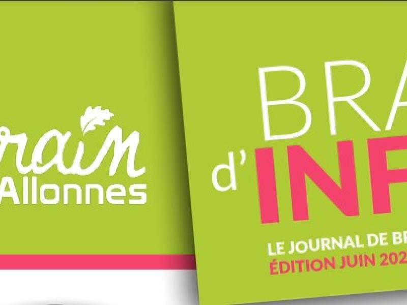 Brain d'infos