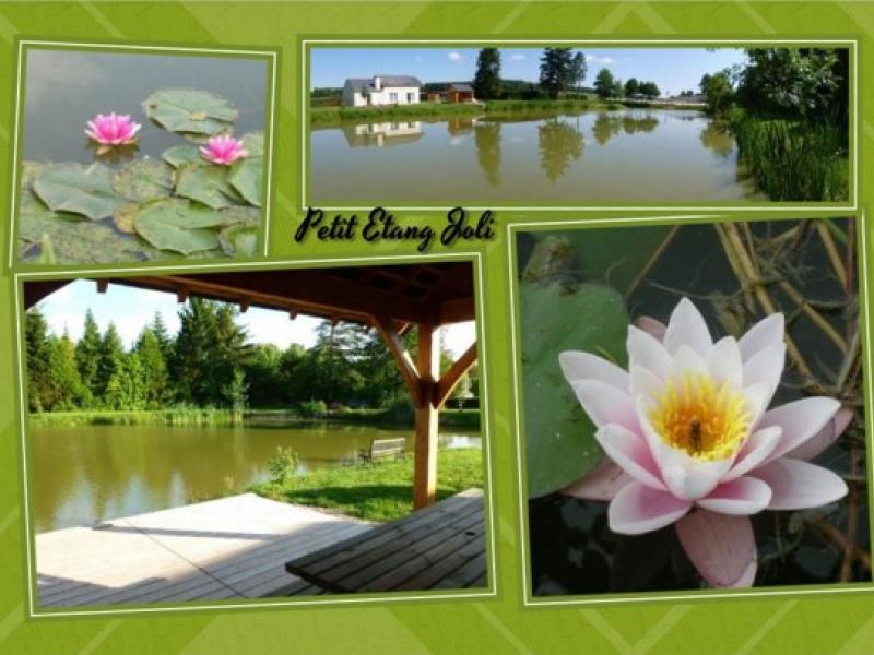 Gîte le Petit Etang Joli