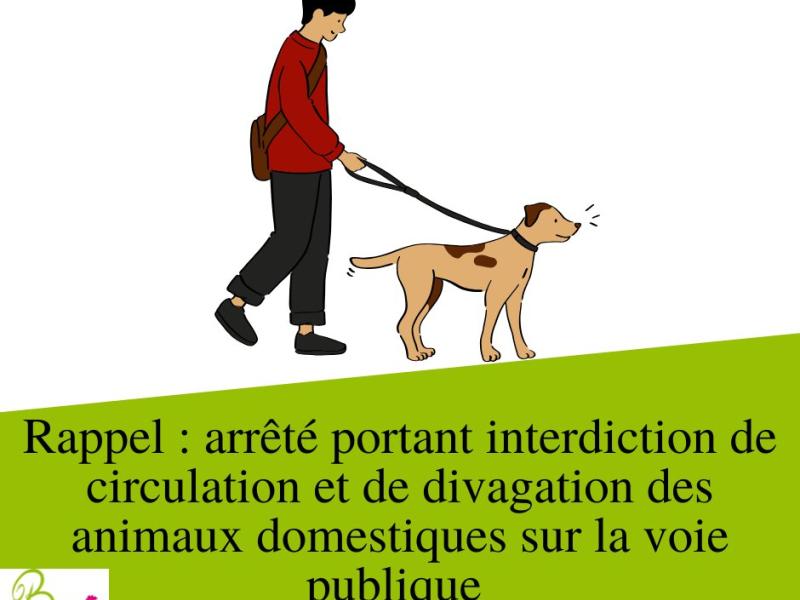 Rappel : ARRETE PORTANT INTERDICTION DE CIRCULATION ET DE DIVAGATION DES ANIMAUX DOMESTIQUES SUR LA VOIE PUBLIQUE