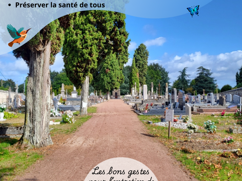 CIMETIÈRE VÉGÉTALISE 