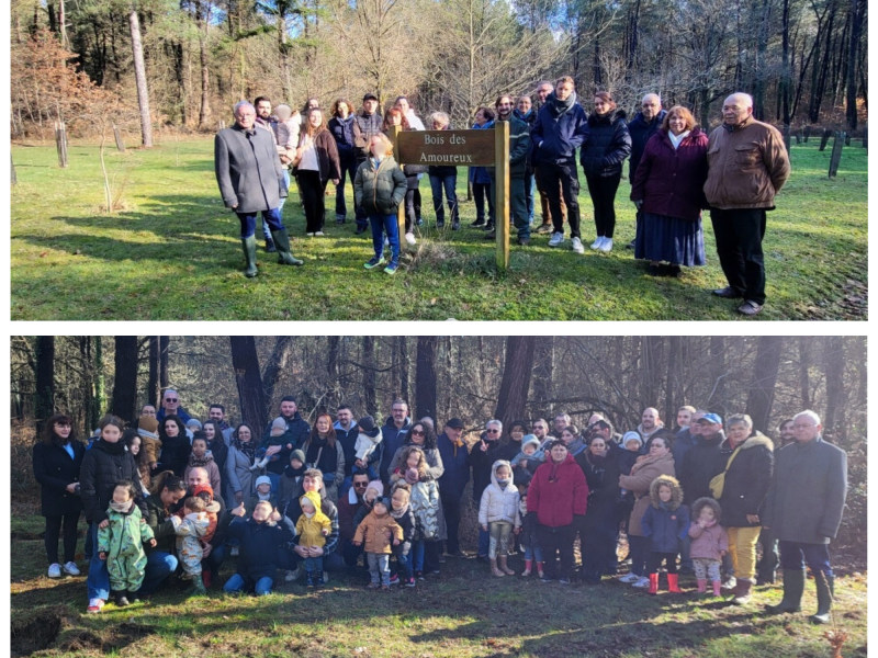 PLANTATIONS - Chênes des mariés & Une naissance un arbre 🌲